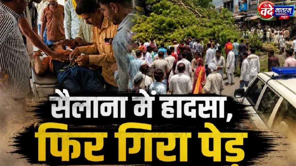 Sailana : पेड़ गिरने से युवक गंभीर, तीन बाइकें चकनाचूर 1 20260601 153241