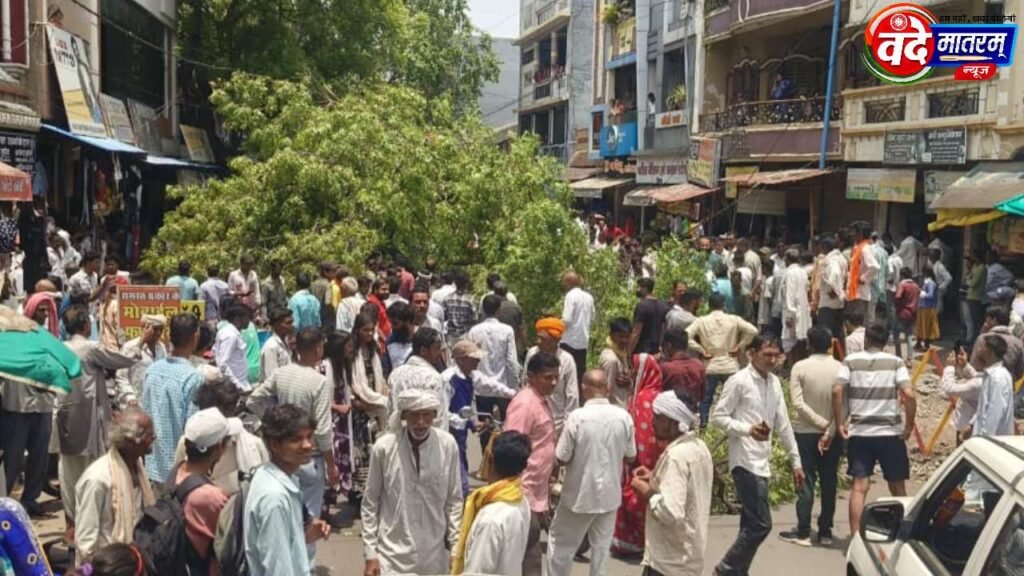Sailana : पेड़ गिरने से युवक गंभीर, तीन बाइकें चकनाचूर 3 20260601 153455
