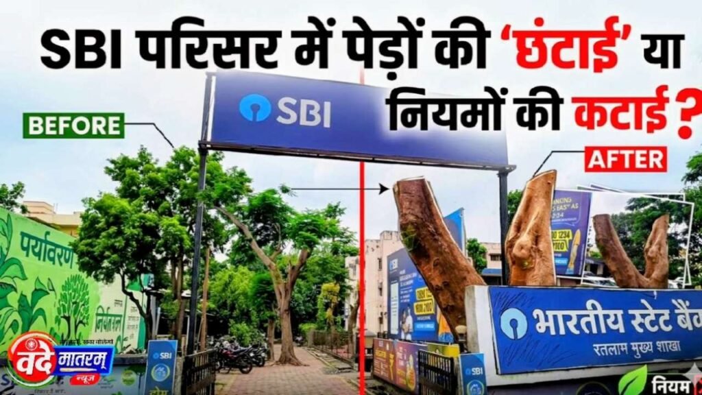 Ratlam : SBI परिसर में पेड़ों की ‘छंटाई’ या नियमों की कटाई? निगम ने ठोका 65 हजार का जुर्माना 1 Felling of trees on the SBI campus