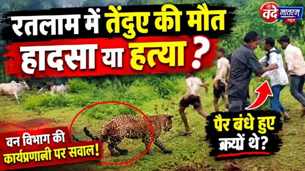 Leopard dies in Ratlam