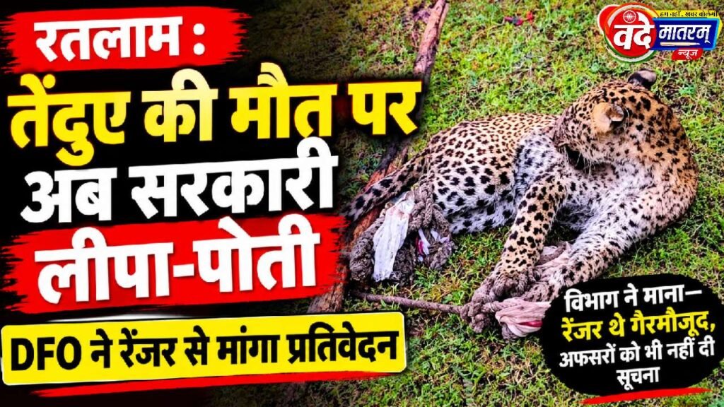 Ratlam : तेंदुए की मौत पर अब सरकारी लीपा-पोती, रेंजर से मांगा प्रतिवेदन 1 Case of leopard's death in Ratlam